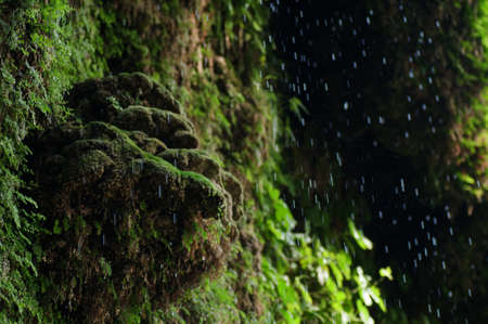 green texture. background wallpaper for computer.