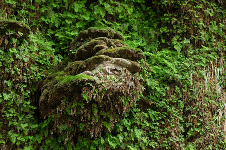 green texture. background wallpaper for computer.