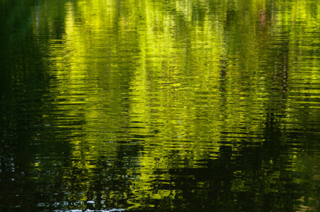 Reflection of trees in the water. Green and yellow colors.の写真素材