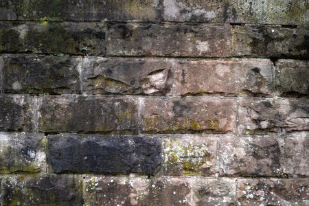 Old brick wall texture. Abstract background for design with copy space.の写真素材