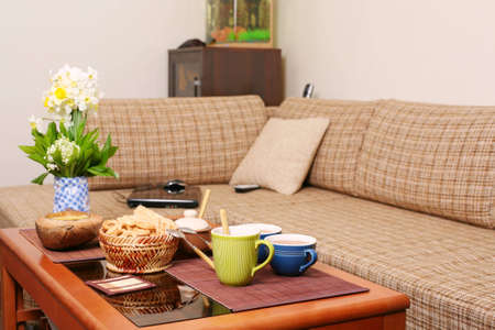 Russian snack on the coffee table in the living roomの写真素材