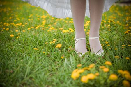Bride's leg on the green lawn with dandelionsの写真素材