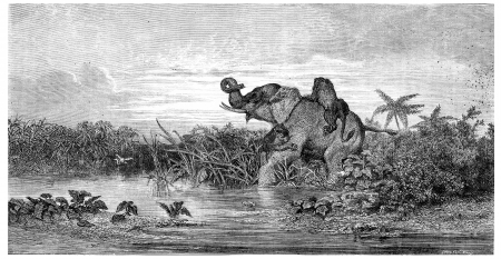 Salon painting. Elephant attack by two lions, vintage engraved illustration. Magasin Pittoresque 1875.の写真素材