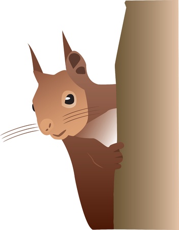 Squirrelのイラスト素材