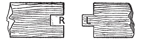 Groove and Tongue, vintage engraved illustration. Dictionary of words and things - Larive and Fleury - 1895.のイラスト素材