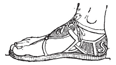 Sandal, vintage engraved illustration. Dictionary of words and things - Larive and Fleury - 1895.のイラスト素材