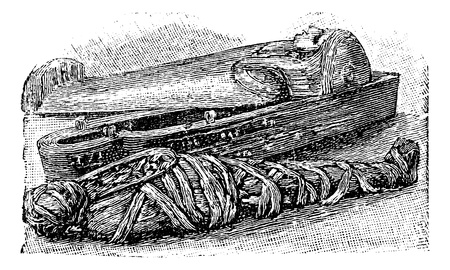 Egyptian mummy and sarcophagus (British Museum), vintage engraved illustration.  Trousset encyclopedia (1886 - 1891).のイラスト素材