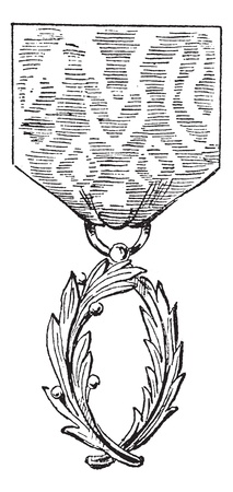 Academic Palms. vintage engraved illustration.  Trousset encyclopedia (1886 - 1891).のイラスト素材