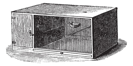 Mouse cage, vintage engraving. Old engraved illustration of Mouse cage.のイラスト素材