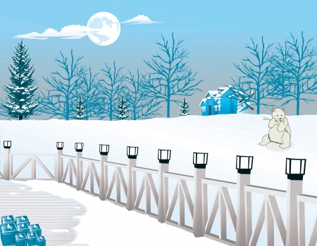 Cold Winter Night, View from a Lamp-lighted Porch, Polar Bear in View, vector illustrationのイラスト素材