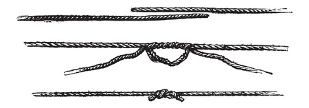 Fisherman's Knot, vintage engraved illustration. Le Magasin Pittoresque - Larive and Fleury - 1874のイラスト素材
