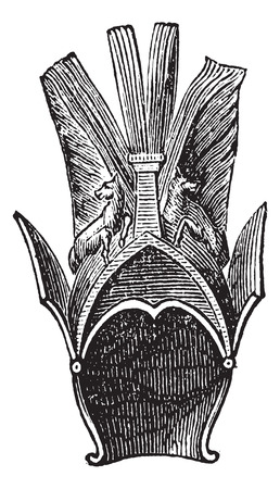 Old engraved illustration of Aigrette of Greek helmet isolated on a white background. Industrial encyclopedia E.-O. Lami ? 1875.のイラスト素材