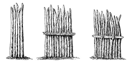 Types of Fencing - Simple, Reinforced with Wicker Rope, and Reinforced with a Pole Inserted Into Forks, engraving based on the English edition, vintage illustration. Le Tour du Monde, Travel Journal, 1881のイラスト素材
