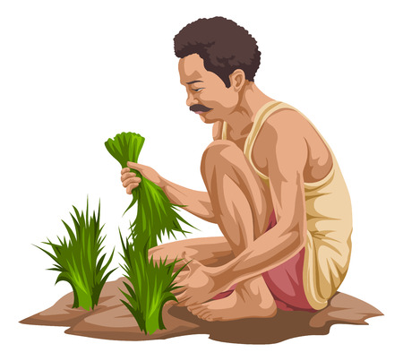 Vector illustration of farmer plucking vegetables in farm.のイラスト素材