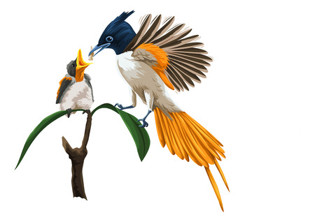 Vector illustration of bird feeding her young chick.のイラスト素材