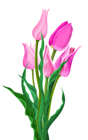 Illustration of pink flower and green leaves.のイラスト素材