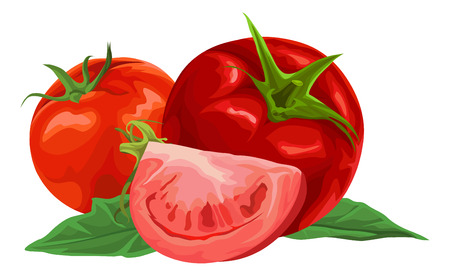 Illustration of organic red tomatoes.のイラスト素材