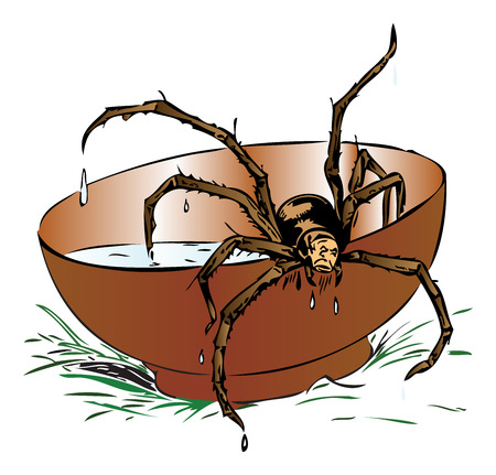 Illustration of a wet spider coming out of a brown bowlのイラスト素材