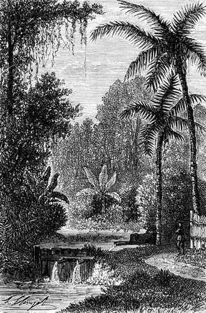 Hot springs near Lake Tondano, vintage engraved illustration. Le Tour du Monde, Travel Journal, (1872).の写真素材
