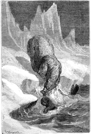 Polar bears hunting seals. vintage engraved illustration. Le Tour du Monde, Travel Journal, (1865).の写真素材