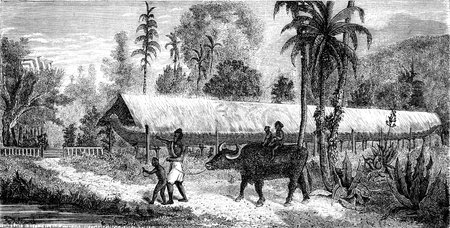 Canoe race kept under one roof, vintage engraved illustration. Le Tour du Monde, Travel Journal, (1872).の写真素材