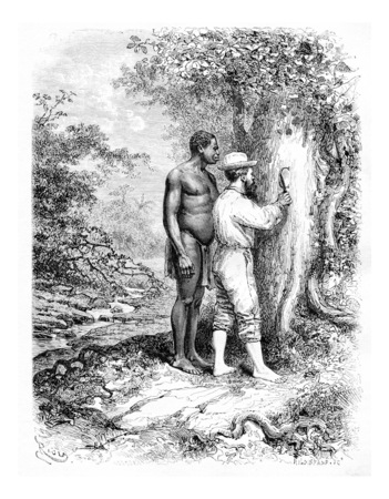 Carving Initials on a Tree in Oiapoque, Brazil, drawing by Riou from a sketch by Dr. Crevaux, vintage engraved illustration. Le Tour du Monde, Travel Journal, 1880の写真素材