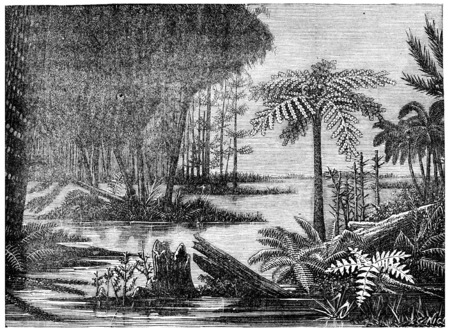 A landscape of the coal era, vintage engraved illustration. Earth before man â 1886.の写真素材