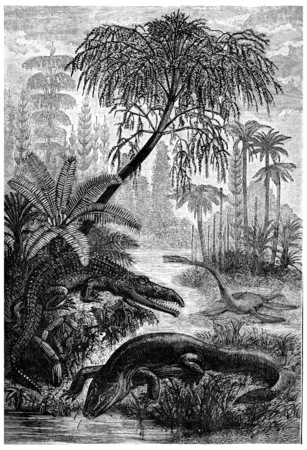 The inhabitants of the Triassic period, capitosaure, beldoux nothosaure, vintage engraved illustration. Earth before man â 1886.の写真素材