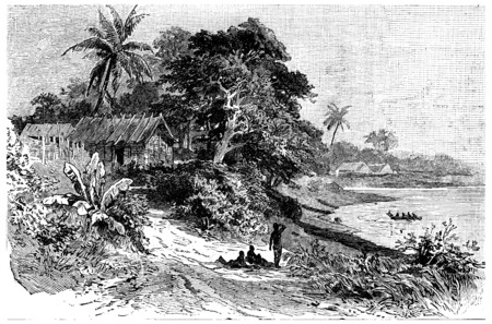 Vegetation at the mouth of the Cameroon River, vintage engraved illustration. Journal des Voyage, Travel Journal, (1880-81).の写真素材