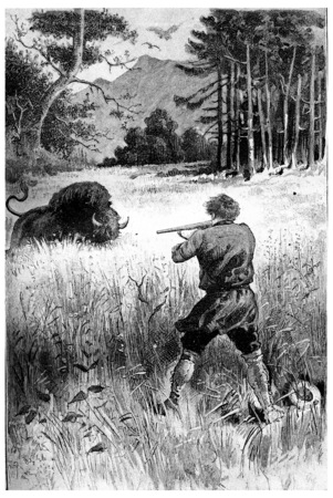 The beast, wounded only, returns to him, vintage engraved illustration. Jules Verne Cesar Cascabel, 1890.の写真素材