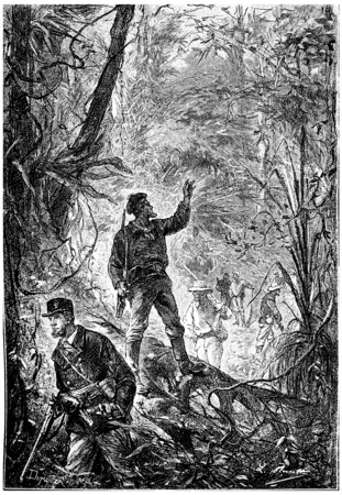 The sailors venturing sisters these admirable forests, vintage engraved illustration. Jules Verne Mistress Branican, 1891.の写真素材