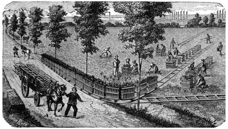 Transporting a process load on a portable rail, vintage engraved illustration. Industrial encyclopedia E.-O. Lami - 1875.のeditorial素材
