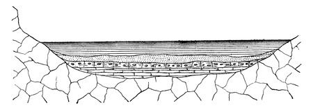 Mode of formation of land sediment, vintage engraved illustration. Earth before man â 1886.のイラスト素材