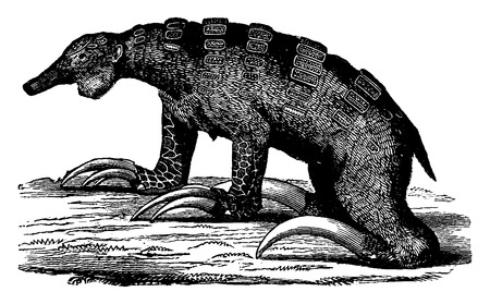The Megalonyx, toothless mammal quaternary the Americas, vintage engraved illustration. Earth before man â 1886.のイラスト素材