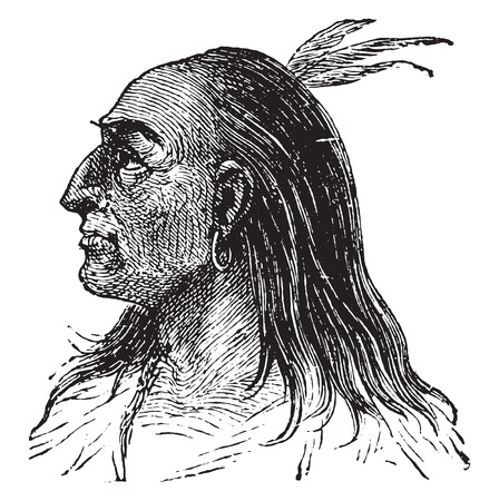 Red or American race, vintage engraved illustration.のイラスト素材