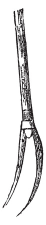 Wooden forks, vintage engraved illustration.のイラスト素材