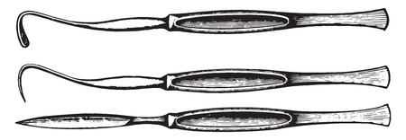 Scalpel with blade shaped somewhat like a bistoury, vintage engraved illustration.のイラスト素材