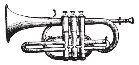 Cornet piston, vintage engraved illustration. Industrial encyclopedia E.-O. Lami - 1875.のイラスト素材
