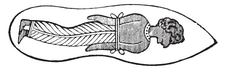 Sandal, vintage engraved illustration.のイラスト素材