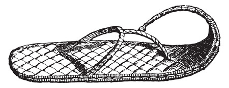 Sandal, vintage engraved illustration.のイラスト素材
