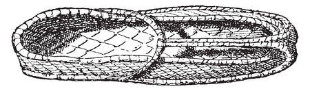 Egyptian shoe, vintage engraved illustration.のイラスト素材