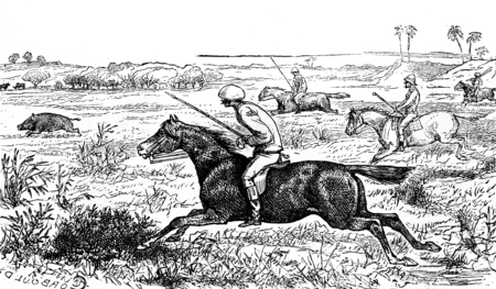 Gallop, vintage engraved illustration. Journal des Voyage, Travel Journal, (1880-81).の写真素材