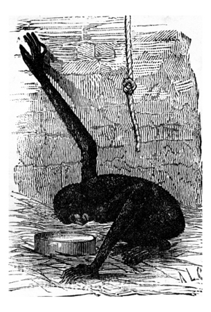 The first mirror, vintage engraved illustration. Earth before man â 1886.の写真素材