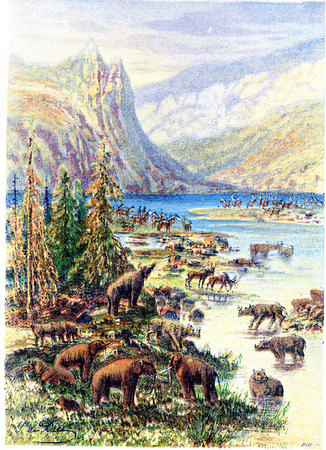 Landscape of Europe Tertiary age, vintage engraved illustration. Earth before man â 1886.の写真素材