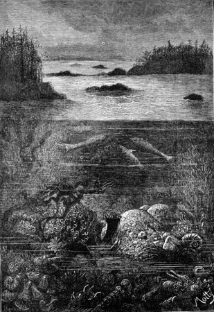 The main inhabitants of the land during the Devonian period. The world before the creation of man, vintage engraved illustration. Earth before man â 1886.の写真素材