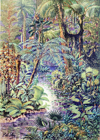 Antediluvian landscape, vintage engraved illustration. Earth before man â 1886.の写真素材