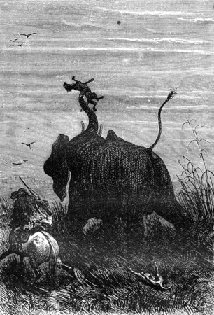 Shook it in the air, vintage engraved illustration. Jules Verne 3 Russian and 3 English, 1872.の写真素材