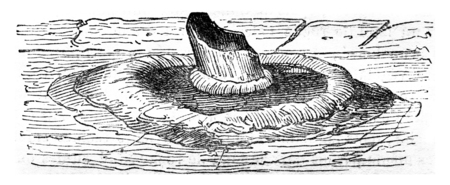 Fossil tree trunk surrounds concentric ground undulations, vintage engraved illustration. Magasin Pittoresque 1844.の写真素材