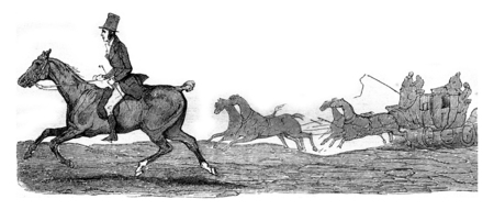 Kob, little horse half-blood who struggle with speed trunk Boston for thirty-three leagues, vintage engraved illustration. Magasin Pittoresque 1845.の写真素材
