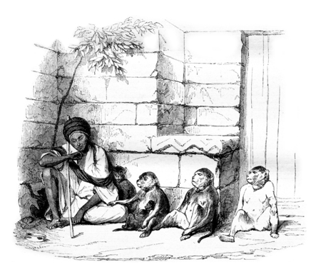A Merchant of monkeys in Cairo, vintage engraved illustration. Magasin Pittoresque 1844.の写真素材